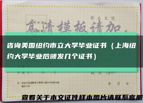 咨询美国纽约市立大学毕业证书（上海纽约大学毕业后颁发几个证书）缩略图