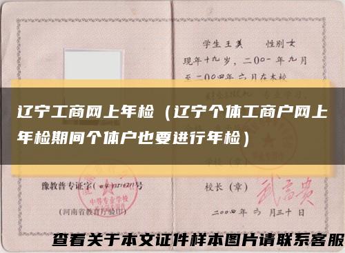 辽宁工商网上年检（辽宁个体工商户网上年检期间个体户也要进行年检）缩略图