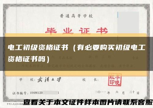 电工初级资格证书（有必要购买初级电工资格证书吗）缩略图