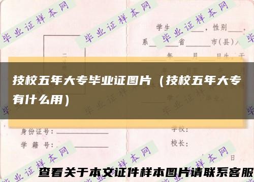 技校五年大专毕业证图片（技校五年大专有什么用）缩略图