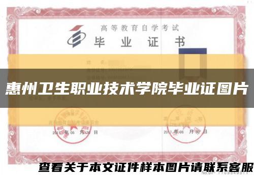 惠州卫生职业技术学院毕业证图片缩略图