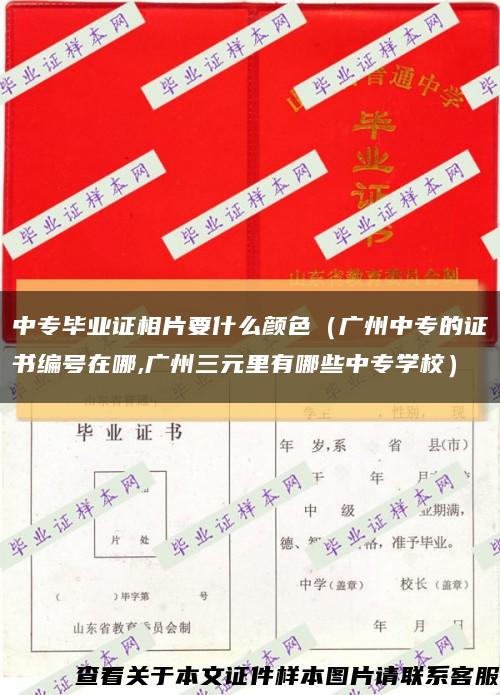 中专毕业证相片要什么颜色（广州中专的证书编号在哪,广州三元里有哪些中专学校）缩略图