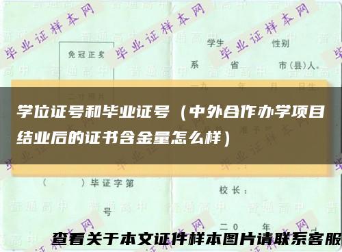 学位证号和毕业证号（中外合作办学项目结业后的证书含金量怎么样）缩略图