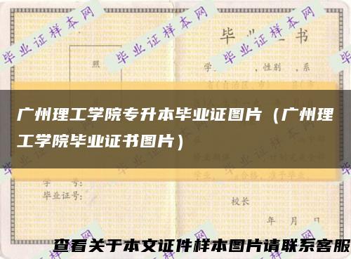 广州理工学院专升本毕业证图片（广州理工学院毕业证书图片）缩略图
