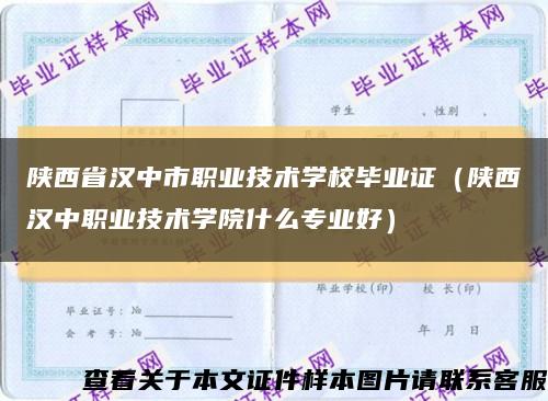 陕西省汉中市职业技术学校毕业证（陕西汉中职业技术学院什么专业好）缩略图