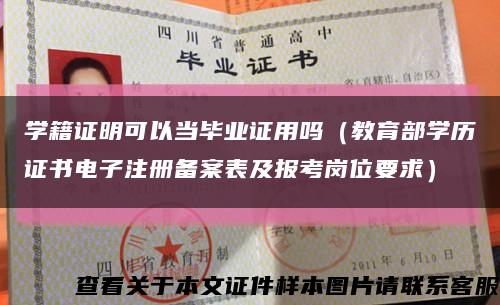 学籍证明可以当毕业证用吗（教育部学历证书电子注册备案表及报考岗位要求）缩略图