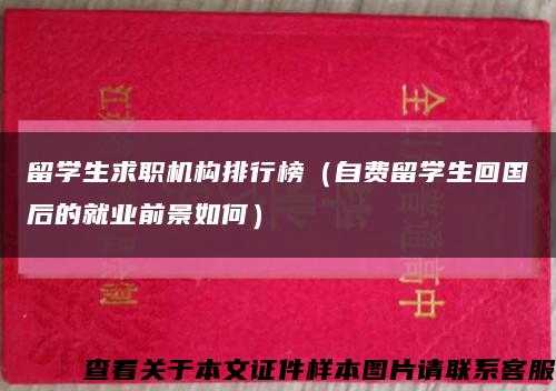 留学生求职机构排行榜（自费留学生回国后的就业前景如何）缩略图