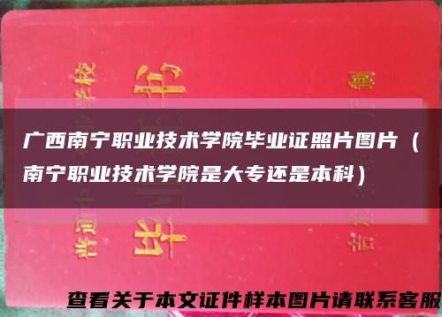 广西南宁职业技术学院毕业证照片图片（南宁职业技术学院是大专还是本科）缩略图