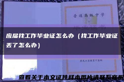 应届找工作毕业证怎么办（找工作毕业证丢了怎么办）缩略图