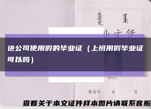 进公司使用假的毕业证（上班用假毕业证可以吗）缩略图