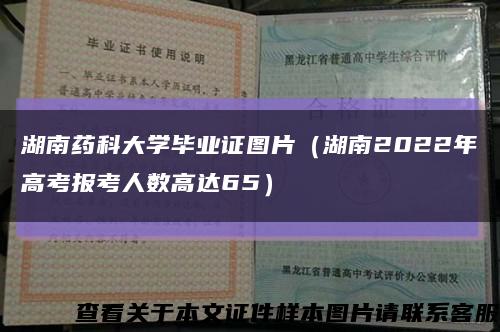 湖南药科大学毕业证图片（湖南2022年高考报考人数高达65）缩略图