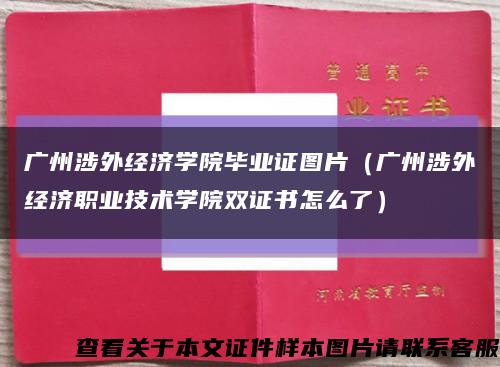 广州涉外经济学院毕业证图片（广州涉外经济职业技术学院双证书怎么了）缩略图