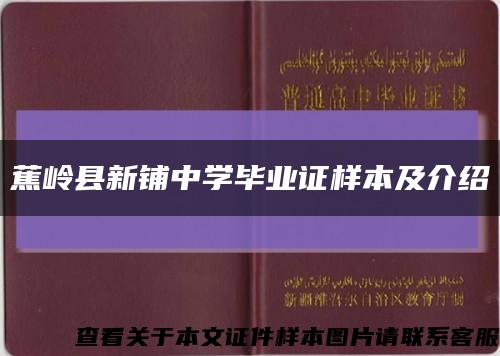 蕉岭县新铺中学毕业证样本及介绍缩略图