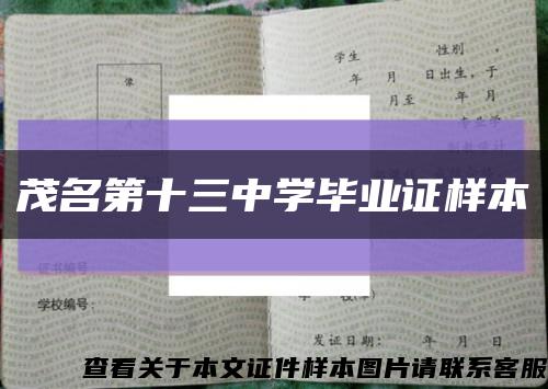 茂名第十三中学毕业证样本缩略图