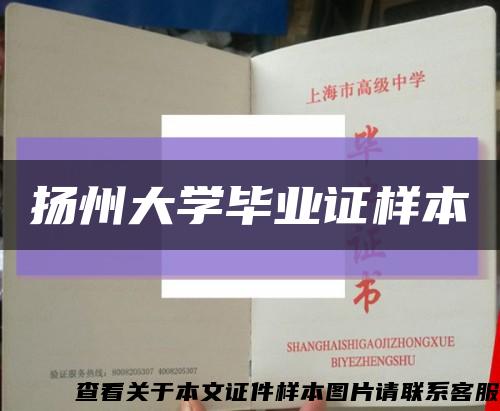 扬州大学毕业证样本缩略图