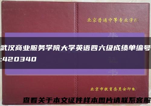 武汉商业服务学院大学英语四六级成绩单编号:420340缩略图