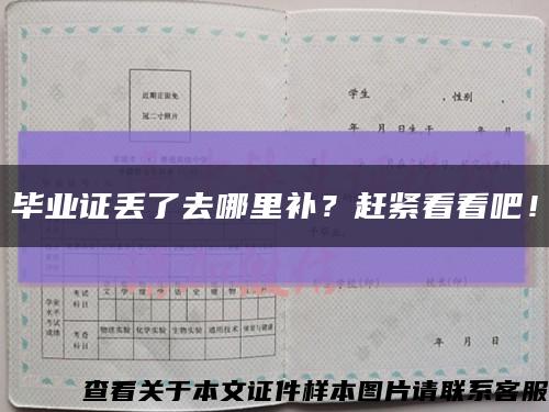 毕业证丢了去哪里补？赶紧看看吧！缩略图