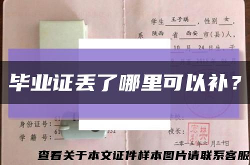 毕业证丢了哪里可以补？缩略图