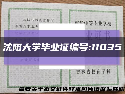 沈阳大学毕业证编号:11035缩略图