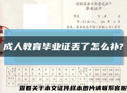 成人教育毕业证丢了怎么补?缩略图