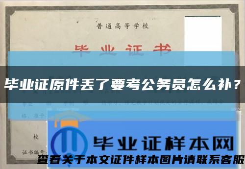 毕业证原件丢了要考公务员怎么补？缩略图