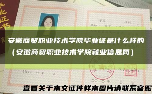 安徽商贸职业技术学院毕业证是什么样的（安徽商贸职业技术学院就业信息网）缩略图