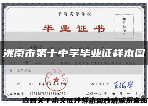 洮南市第十中学毕业证样本图缩略图