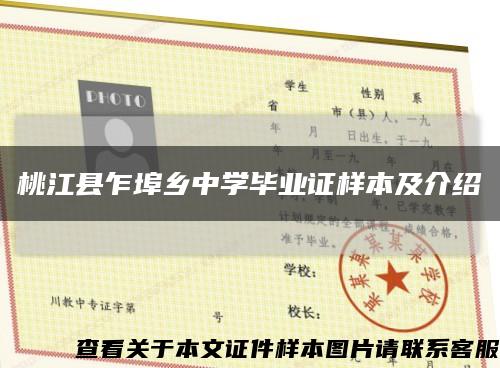 桃江县乍埠乡中学毕业证样本及介绍缩略图
