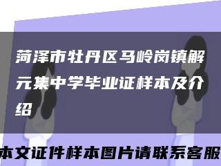 菏泽市牡丹区马岭岗镇解元集中学毕业证样本及介绍缩略图