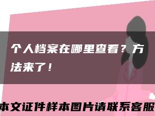 个人档案在哪里查看？方法来了！缩略图