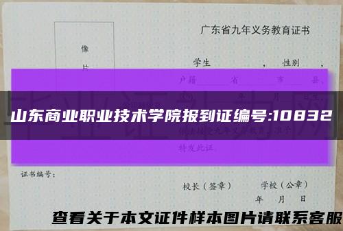 山东商业职业技术学院报到证编号:10832缩略图