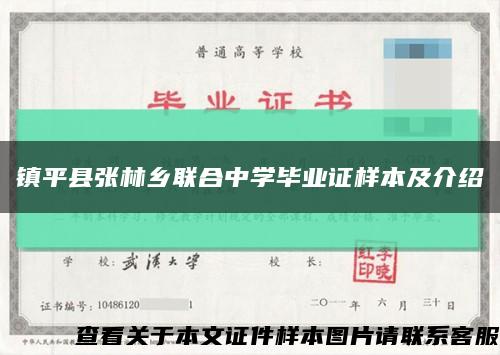 镇平县张林乡联合中学毕业证样本及介绍缩略图