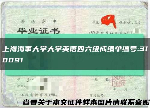 上海海事大学大学英语四六级成绩单编号:310091缩略图