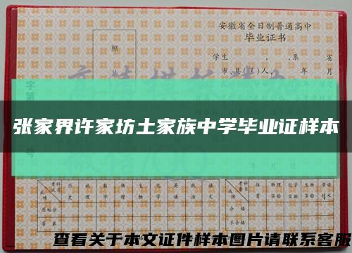 张家界许家坊土家族中学毕业证样本缩略图