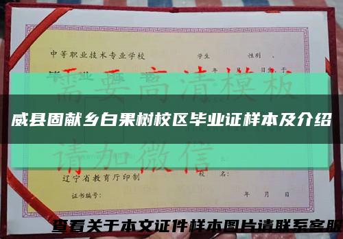 威县固献乡白果树校区毕业证样本及介绍缩略图