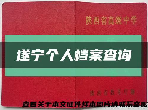 遂宁个人档案查询缩略图