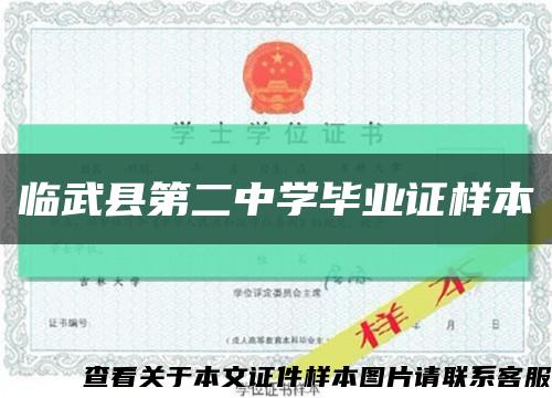 临武县第二中学毕业证样本缩略图