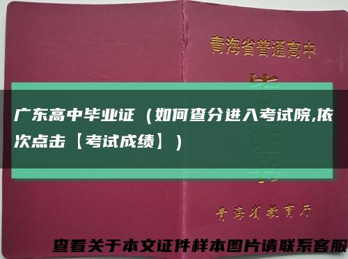 广东高中毕业证（如何查分进入考试院,依次点击【考试成绩】）缩略图