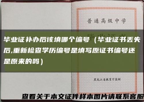 毕业证补办后该填哪个编号（毕业证书丢失后,重新检查学历编号是填写原证书编号还是原来的吗）缩略图