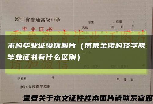 本科毕业证模板图片（南京金陵科技学院毕业证书有什么区别）缩略图