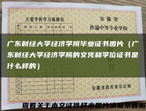 广东财经大学经济学院毕业证书图片（广东财经大学经济学院的文凭和学位证书是什么样的）缩略图