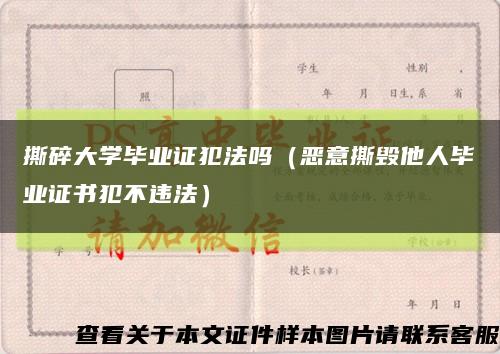 撕碎大学毕业证犯法吗（恶意撕毁他人毕业证书犯不违法）缩略图