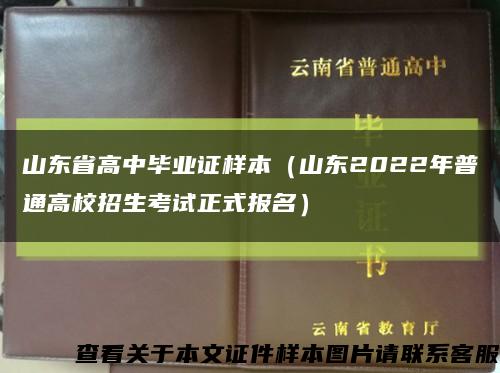 山东省高中毕业证样本（山东2022年普通高校招生考试正式报名）缩略图