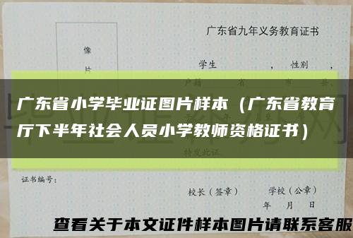 广东省小学毕业证图片样本（广东省教育厅下半年社会人员小学教师资格证书）缩略图
