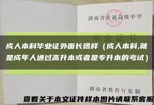成人本科毕业证外面长啥样（成人本科,就是成年人通过高升本或者是专升本的考试）缩略图