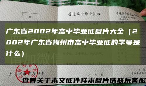 广东省2002年高中毕业证图片大全（2002年广东省梅州市高中毕业证的学号是什么）缩略图
