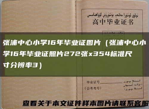 张浦中心小学16年毕业证图片（张浦中心小学16年毕业证照片272张x354标准尺寸分辨率3）缩略图