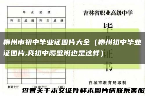 柳州市初中毕业证图片大全（柳州初中毕业证图片,我初中隔壁班也是这样）缩略图