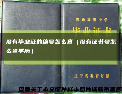 没有毕业证的编号怎么查（没有证书号怎么查学历）缩略图