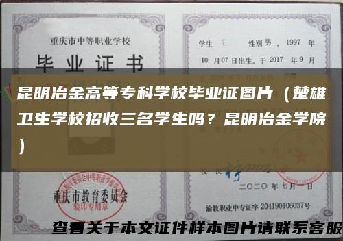 昆明冶金高等专科学校毕业证图片（楚雄卫生学校招收三名学生吗？昆明冶金学院）缩略图